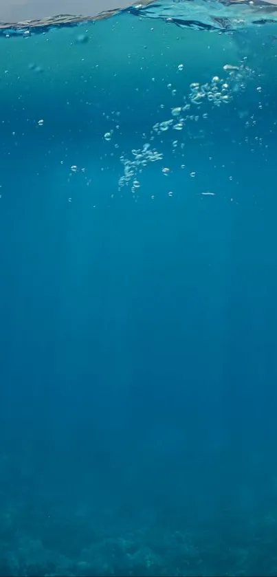 A tranquil blue ocean wallpaper with underwater bubbles.