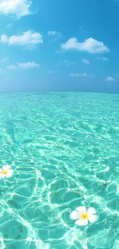 Ocean blue wallpaper with clear sky and floating flowers.
