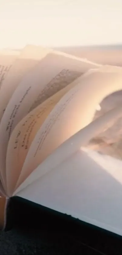 Open book with pages fluttering on a beach at sunset.