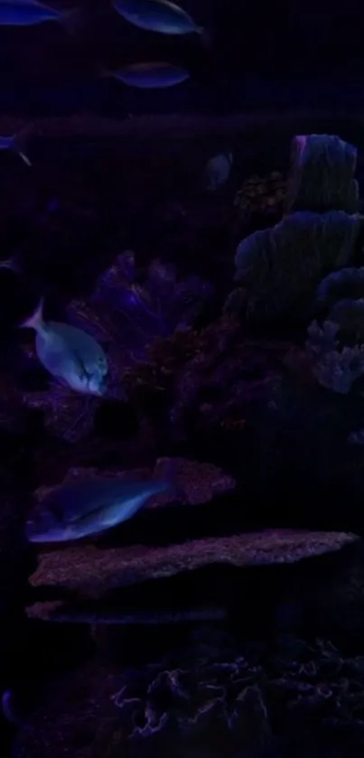 Dark blue underwater wallpaper with fish and corals.