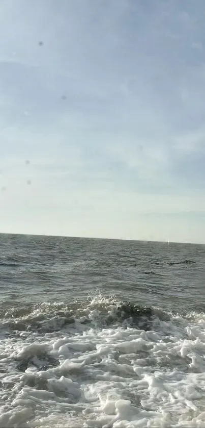 Peaceful ocean and horizon under a clear blue sky.