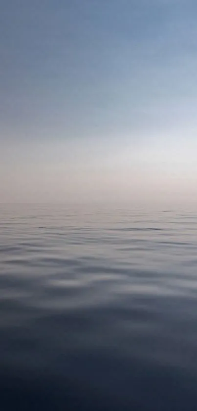 Serene ocean horizon with calm waters and a soft blue-gray sky.