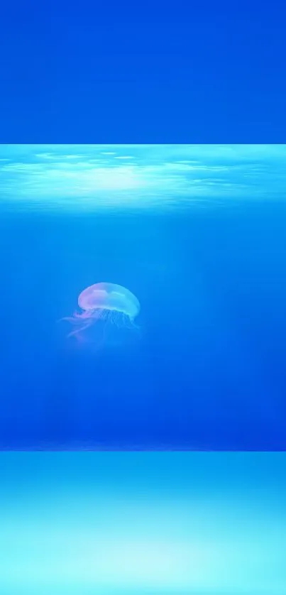 Serene blue ocean wallpaper with jellyfish