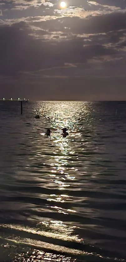 Serene ocean with moonlight reflecting on water surface at night.