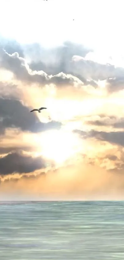 Serene ocean sunrise with clouds and seagull.