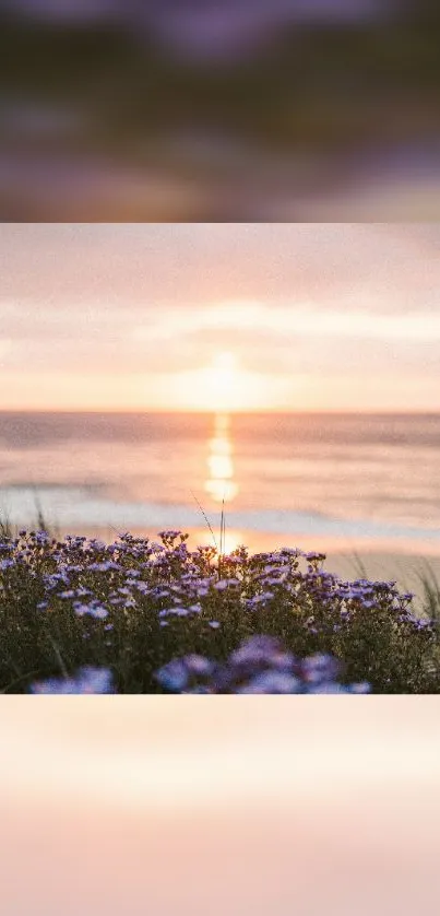 Serene ocean sunset with purple flowers in foreground.