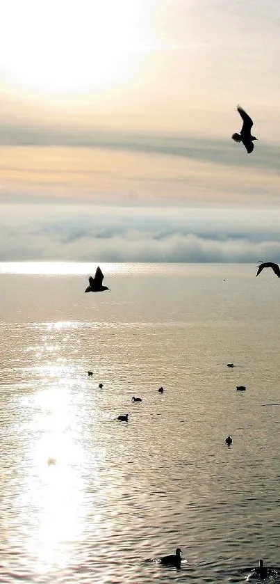 Serene ocean sunset with birds flying over calm waters and a reflective sea.