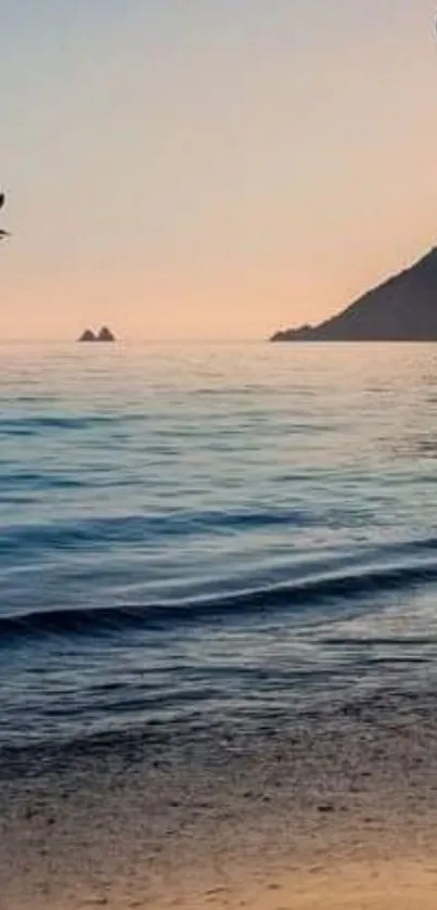 Serene ocean sunset with birds over calm water.