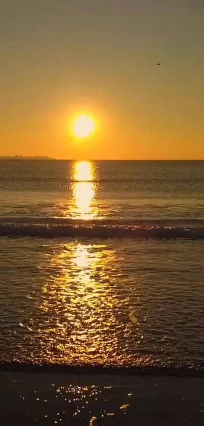 Golden ocean sunset with serene water reflection.