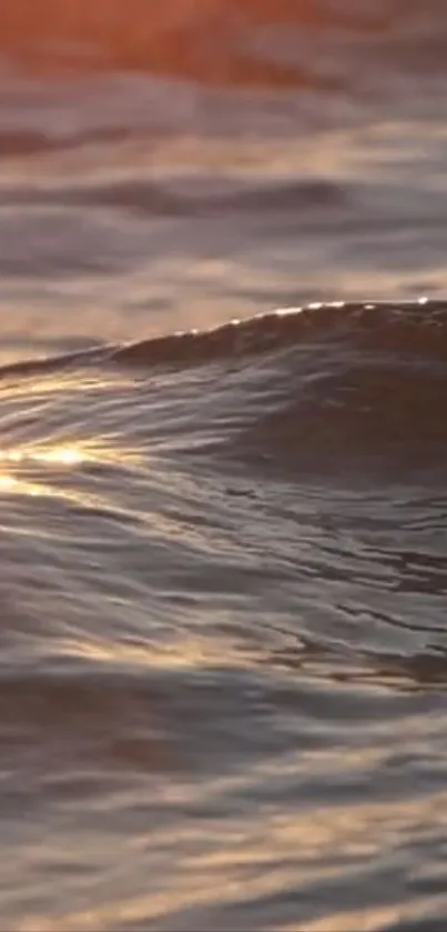 Ocean waves at sunset with a warm glow.