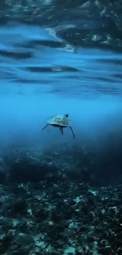 Serene underwater ocean scene with turtle.