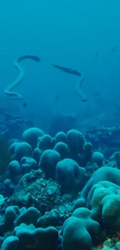 Underwater scene with coral reefs and a calm ocean backdrop.