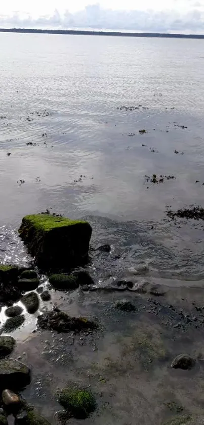 Serene ocean view with rocky shore and calm waters under a cloudy sky.