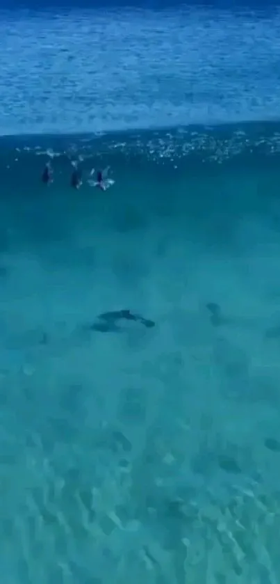 Tranquil deep blue ocean with swimmers.