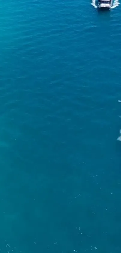 Aerial view of a boat on vibrant blue ocean waters, a serene mobile wallpaper.