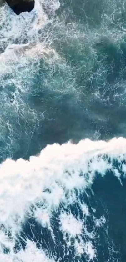 Aerial view of a serene ocean wave forming on the blue sea.