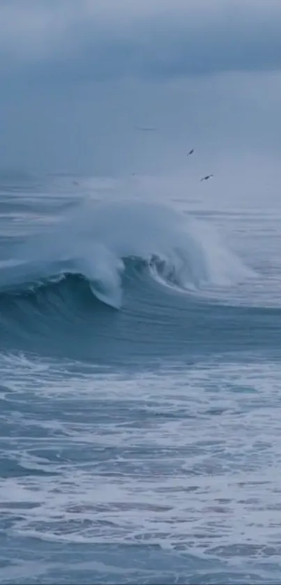 A serene ocean wave captured in motion.