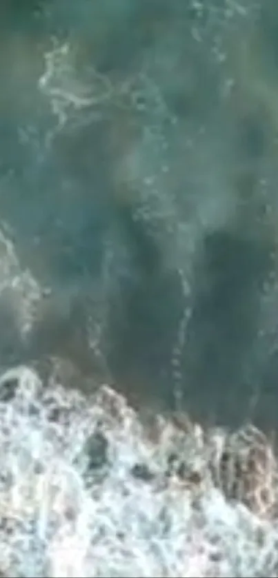 Aerial view of a serene ocean wave with teal water and white foam.