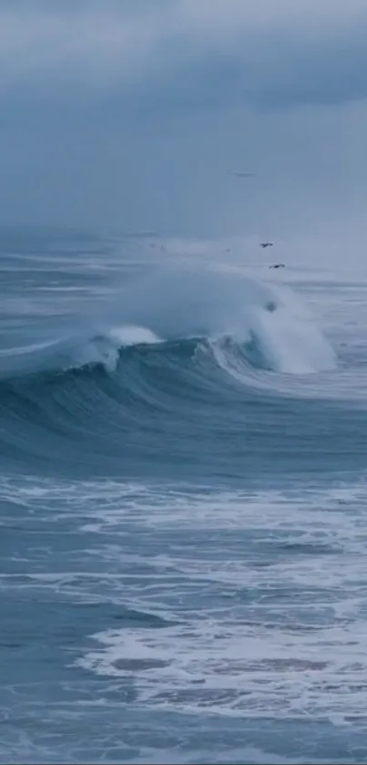 Serene ocean wave with tranquil blue waters and gentle sea breeze.