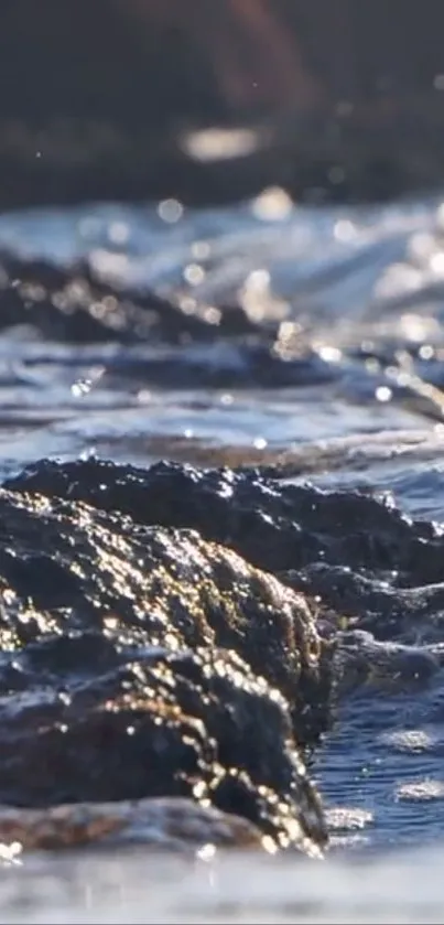 Serene ocean waves gently rolling ashore in soft sunlight.