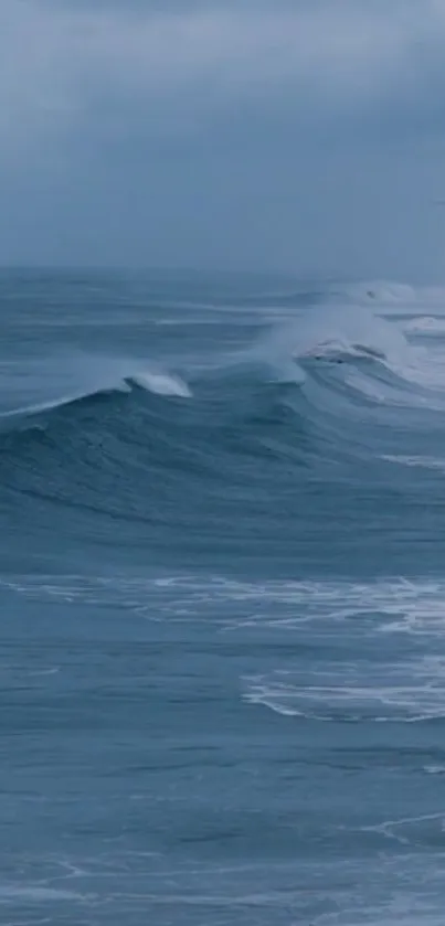 Blue ocean waves gently rolling on a serene sea.