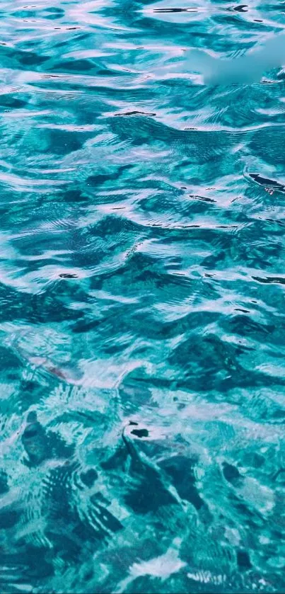 Calm ocean waves with turquoise hues, perfect for a serene mobile wallpaper.