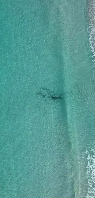 Aerial view of turquoise ocean waves meeting a calm sandy beach.