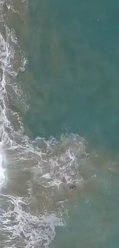 Aerial view of teal ocean waves with white sea foam on a beach.