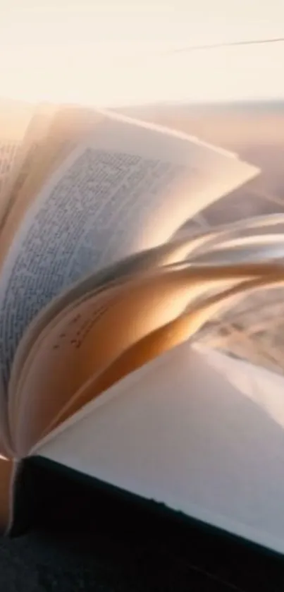 Open book on beach sand with light.