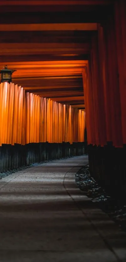 Serene orange pathway through torii gates at sunset.