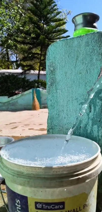 Flowing water into a bucket in serene outdoor setting.