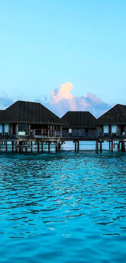 Tropical overwater bungalows with blue ocean view.