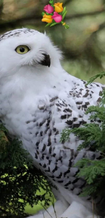 A serene white owl sits among lush green foliage.