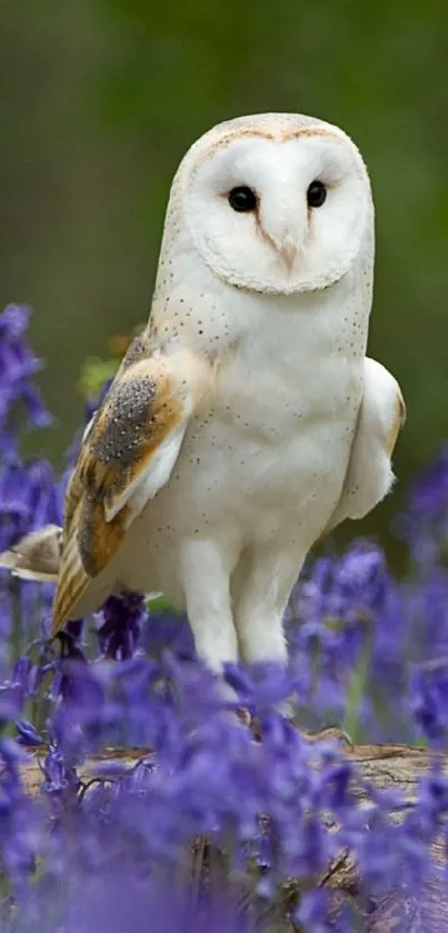 Barn owl perched amid vibrant flowers.