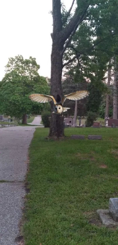 Majestic owl gliding in a peaceful cemetery.