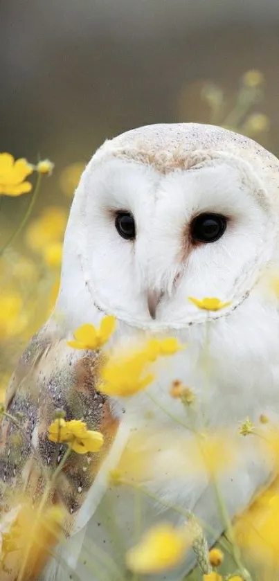 Vibrant owl in a field of yellow wildflowers.