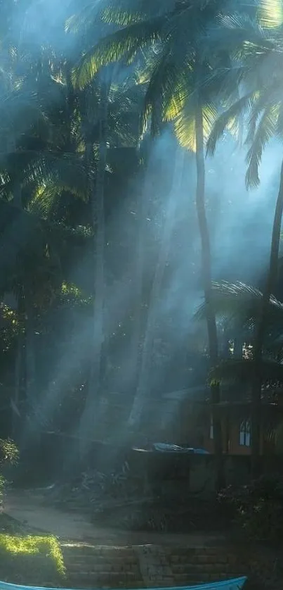 Sunlit palm trees in a misty forest by a small boat.