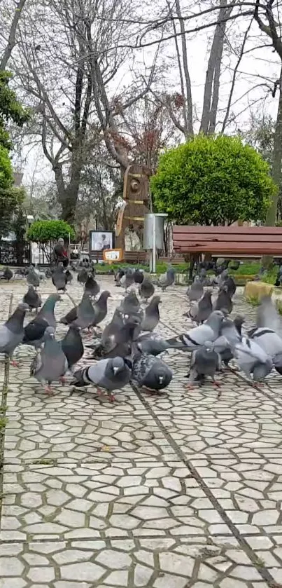 Pigeons gather in a tranquil park with green trees and benches.