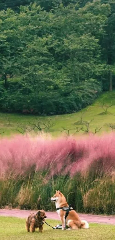 Two dogs in a serene park with pink foliage.