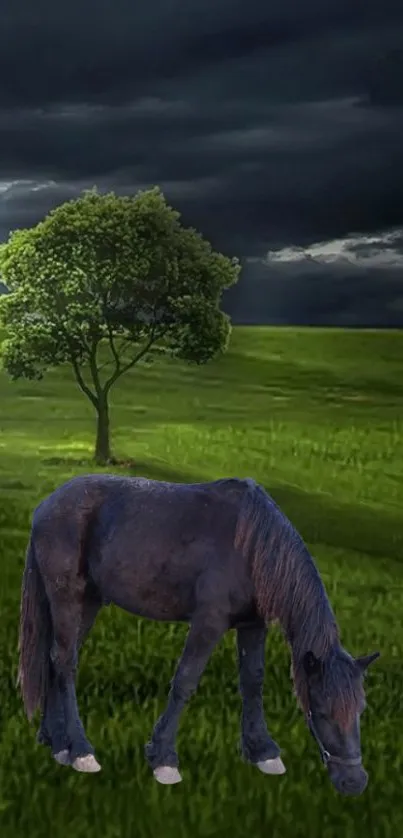 Grazing horse in lush green landscape with dark stormy clouds.