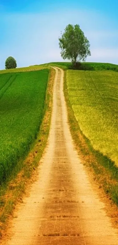 Serene path through lush green hills under a blue sky.