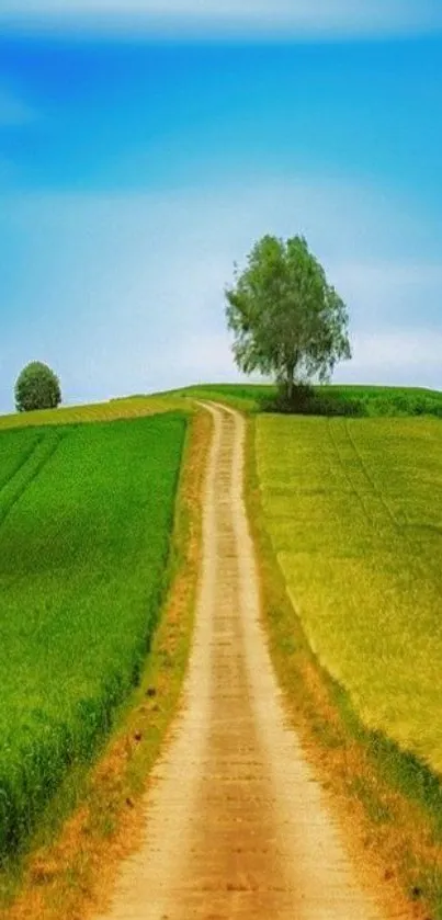 Serene landscape with road, trees, and blue sky on a phone wallpaper.