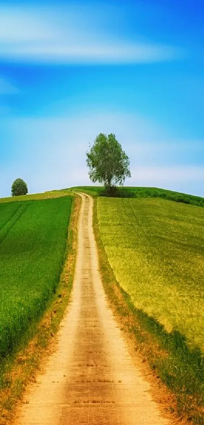 Serene pathway through green hills under a vibrant blue sky mobile wallpaper.