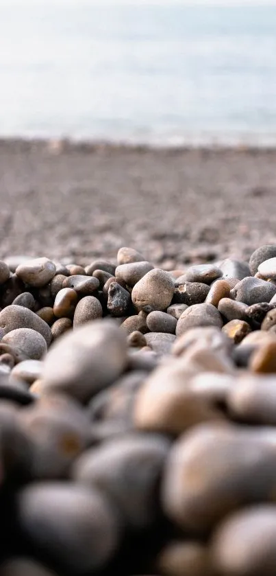 Close-up of pebbles on a calm, serene beach with ocean backdrop.