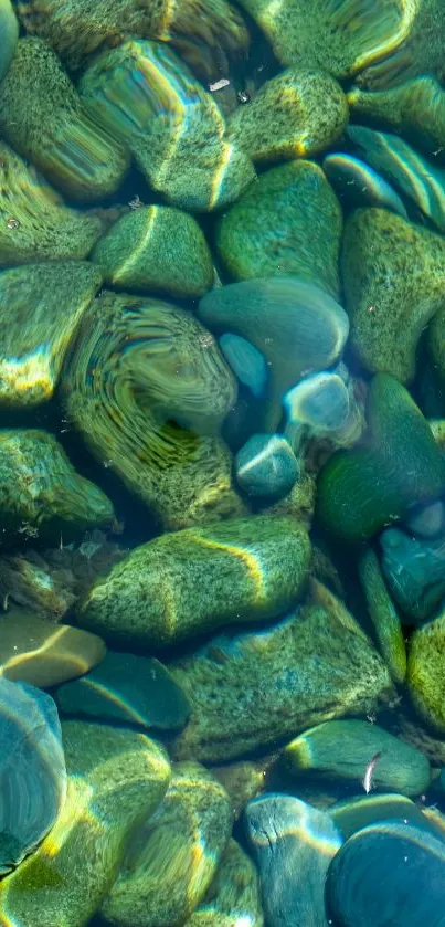 Smooth pebbles underwater with light reflections.