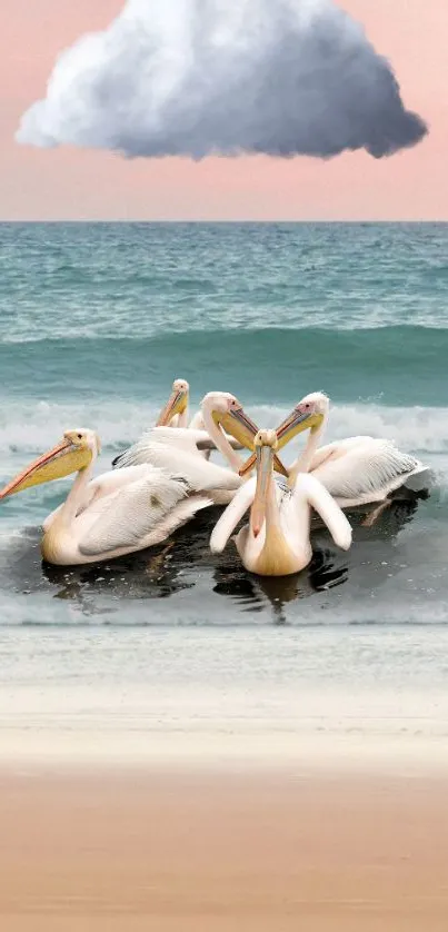 Pelicans by the sea with a cloud overhead, showcasing a tranquil beach scene.