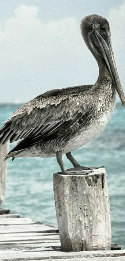 Pelican perched by turquoise sea on a wooden dock.