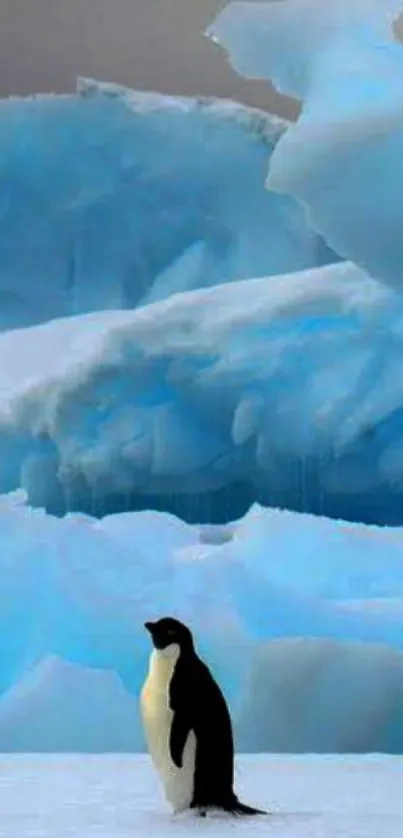 A penguin stands amidst blue ice formations under a cloudy sky.