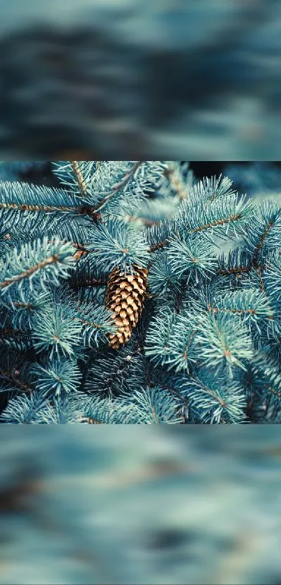 Pine tree with pinecone and teal needles.