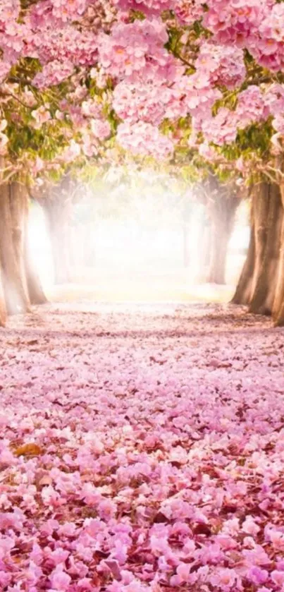 Mobile wallpaper featuring a pink blossom pathway with tree-lined beauty.